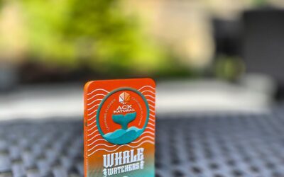 So proud of this pre-roll tin design for @acknatural … we love creating long lasting brands that stand out!