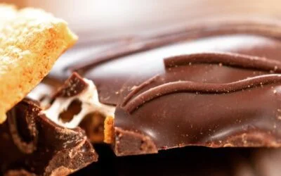 Recent photoshoot for @nutfreechocolatefactory of their Dark Chocolate S’more’s Graham Cracker snacks. #smores #marshmallow #grahamcrackers and #darkchocolate #nutfreebakery #delicious #organicbaking #foodiegram #macrophotography #foodphotos #localmassachusetts #handcraftedsnack